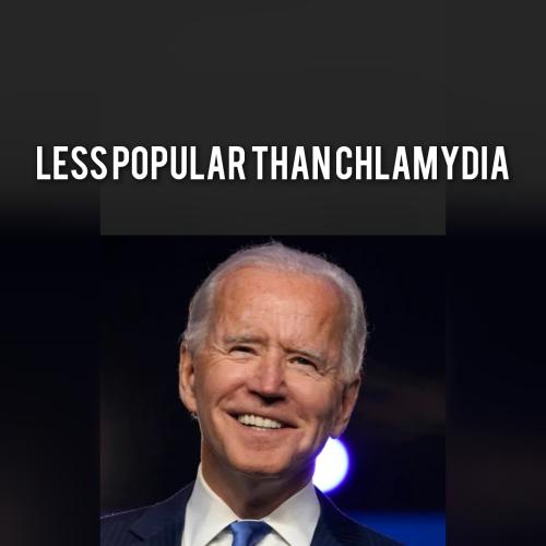 GridArt_20220724_052406140