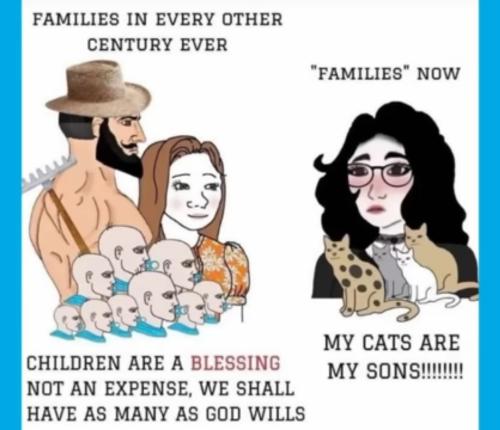 Screenshot_20220710-160957_YouTube