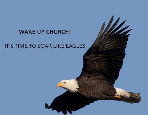 Eagles
