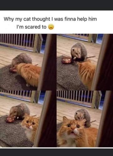 FB_IMG_1658447427389