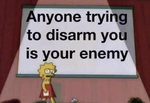 Disarm is the Enemy