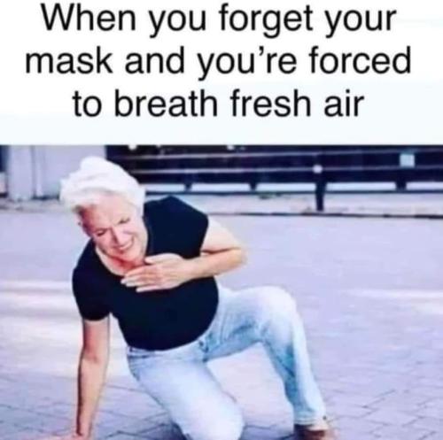 292875365_2247763018711556_8300173696053236252_n