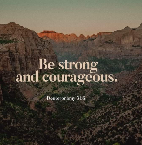 Screenshot_20220522-080437