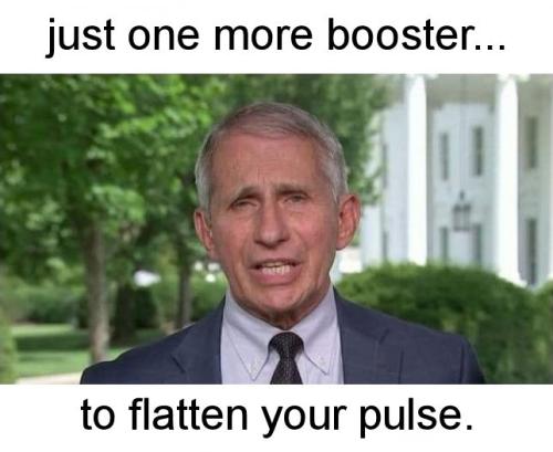 booster14