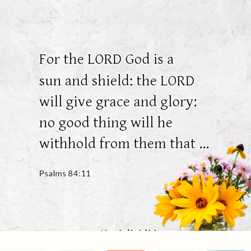 dailybible_20220728-145445_Psalms_84-11