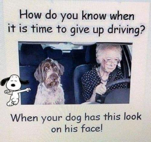 FB_IMG_1658846519197