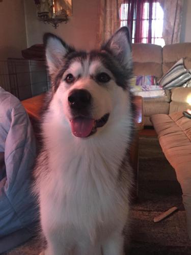 4E22BDBC-3DB9-4323-9600-A5634E4F54B2