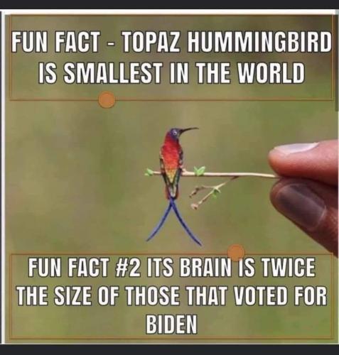 293271530_3253409381582925_1576174714349121270_n