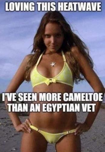 FB_IMG_1657644834222