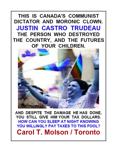 Trudeau tax dollars2-page-1