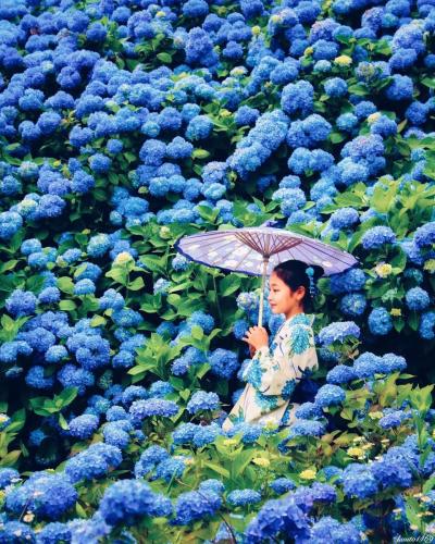 291788981_3262299240707955_5828255715345443080_n