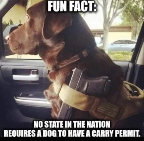 16585027520497190142250405052816_35190017988605