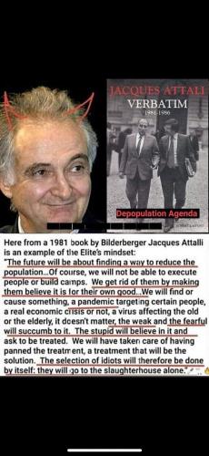 FB_IMG_1657137075033