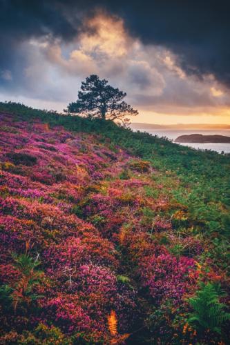 tumblr_d238daf2df3618a2ca4854c4662baac1_cb2773d0_540