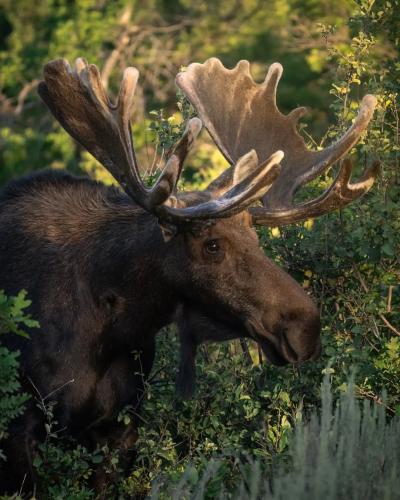 tumblr_da66fdfa3e7979b582780ffd142490aa_351e0f27_1280