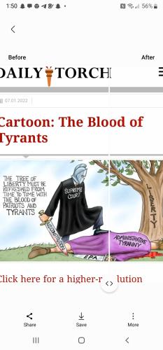 Screenshot_20220705-135022_Gallery