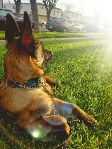 5c4f9baa-fc2d-41f4-96e7-ebef5f150b3f