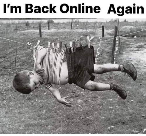 290363144_1458837131214300_8891132361768046489_n