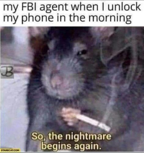 tumblr_db2ea995d3b96c7cfb2d372de2b8d5d1_3e34fb98_540