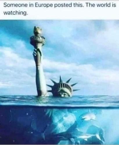 d2eac841-132f-4c8c-bc8b-bf6a8cce13f4