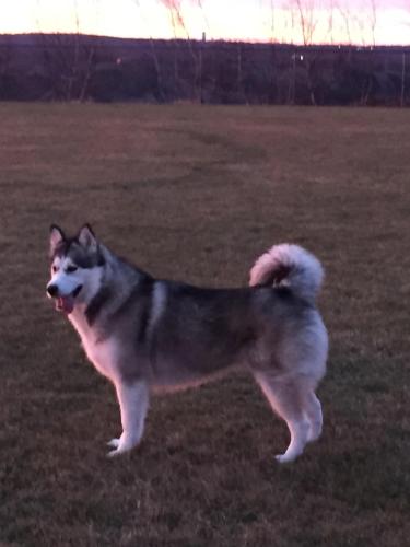 B0ADE0CA-7CF3-4DDE-804F-593AD56631D6