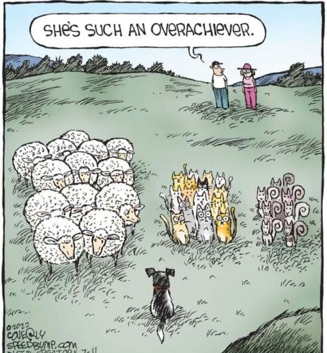 294288926_164667909420789_4566280214352836528_n