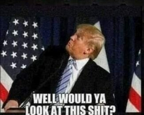 Screenshot_20220706-195525~3