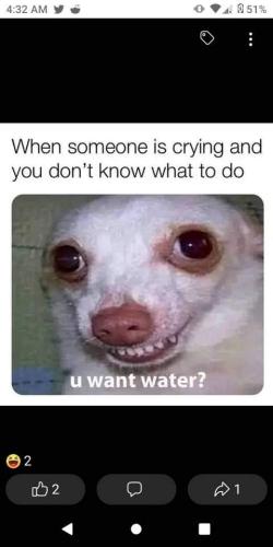 FB_IMG_1657727091915