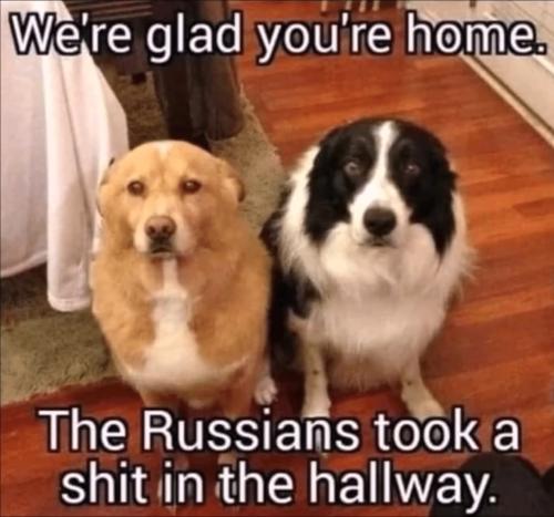 Screenshot_20220713-072653_YouTube