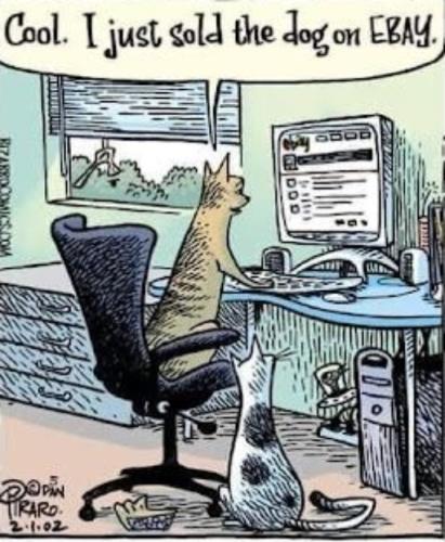 289855451_5443020975720820_6660750282750068589_n