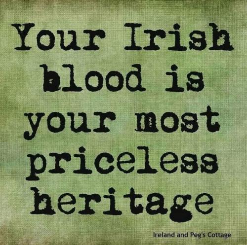 293995761_1134026690513220_4892143788271315250_n