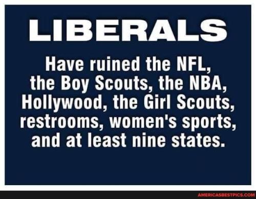 2464420dcbd14a1d8730d6ab56daf48b1cbdea9d2f72d0b1f537e4df2563c4f9_1