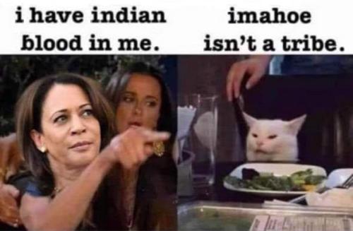 kamala harris195