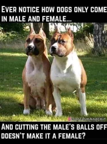 FB_IMG_1658459807330