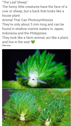 Screenshot_2022-07-22-20-23-02_kindlephoto-347509334