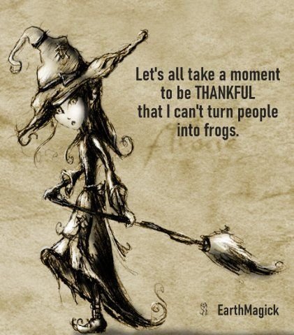 293299387_1765376533802558_1998801558024124139_n