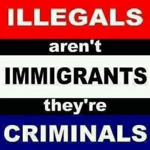 87761370_10213484307095913_4636273422001766400_n