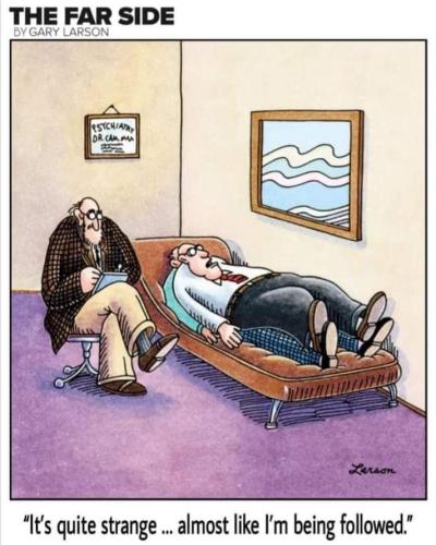 294990961_141325745249019_4456861736336047681_n