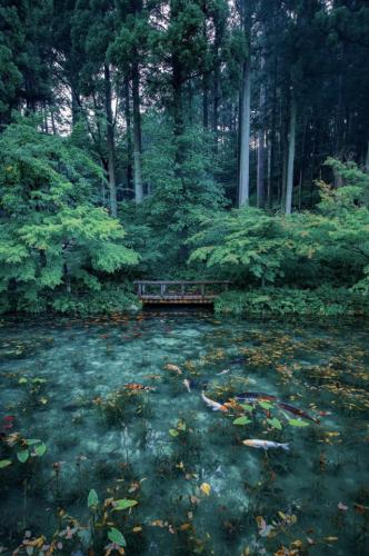 tumblr_6d49448ef71166fcff70de81791efc3d_6fa6aedd_640