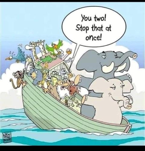 FB_IMG_1657803776434