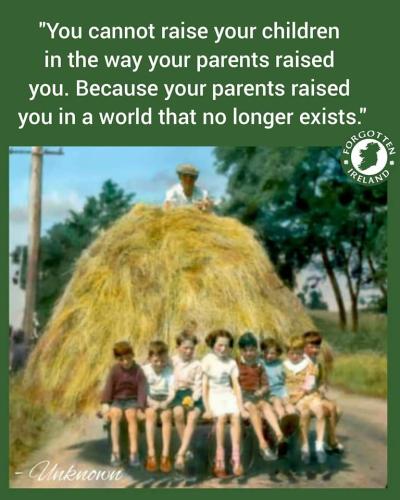 294068623_2239909599501378_6822083901200019292_n