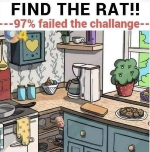 FB_IMG_1656730714563