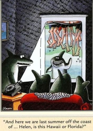 293611850_1752935788375575_3327067710441156200_n