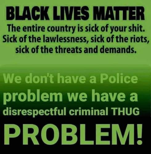 BLM 1