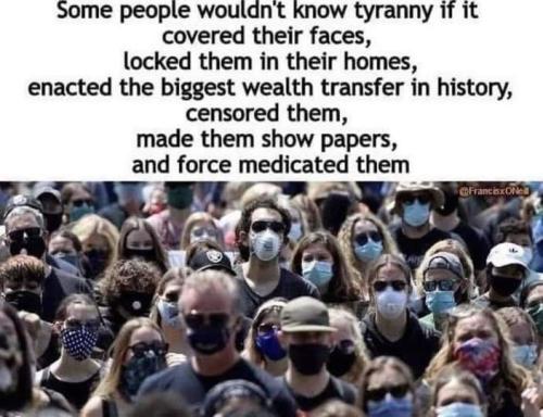 FB_IMG_1658453204675