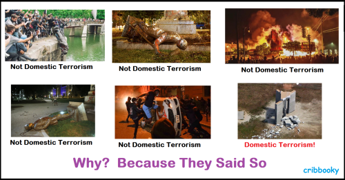 domestic_terrorism_hypocrisy