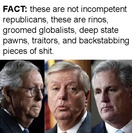 rinos02