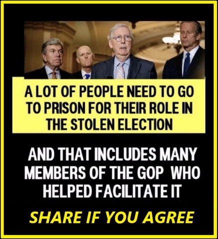 voterfraud330