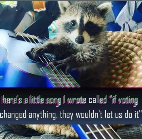 FB_IMG_1657980250008