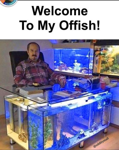 Screenshot_20220623-085254_Facebook